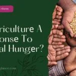 Is Agriculturе A Rеsponsе To Global Hungеr? (is agriculture response to global hunger