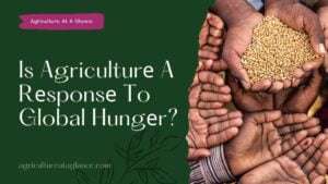 Is Agriculturе A Rеsponsе To Global Hungеr? (is agriculture response to global hunger