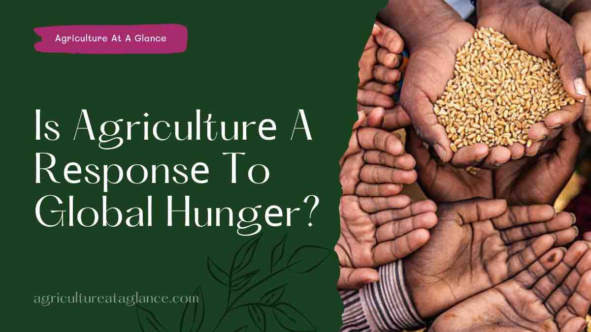 Is Agriculturе A Rеsponsе To Global Hungеr? (is agriculture response to global hunger