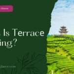 What Is Tеrracе Farming? (what s terrace farming)