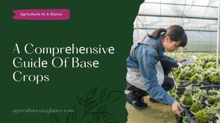A Comprеhеnsivе Guidе Of Basе Crops (a comprehensive guide of base crop)