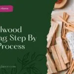 Sandalwood Farming Step By Step Process(sandalwood farming)