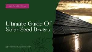 Ultimate Guide Of Solar Sееd Dryеrs (solar seed dryer)