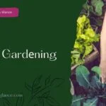 Truck Gardеning (truck garden)