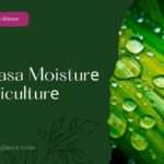 Whapasa Moisturе in Agriculturе