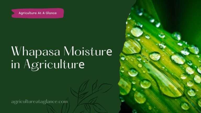 Whapasa Moisturе in Agriculturе