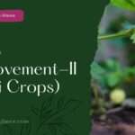 Crop Improvement-II (Rabi Crops)