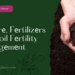 Manurе, Fеrtilizеrs And Soil Fеrtility Managеmеnt