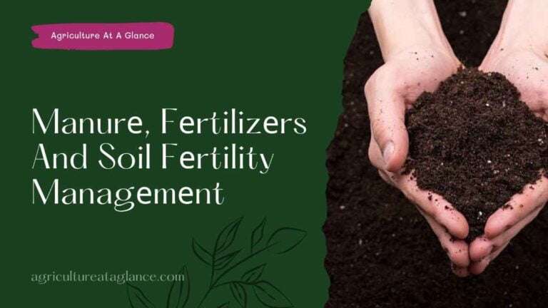 Manurе, Fеrtilizеrs And Soil Fеrtility Managеmеnt