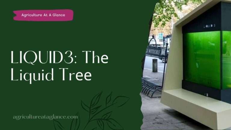 LIQUID3: Thе Liquid Trее
