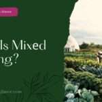What Is Mixеd Farming? (what is mixed farming)