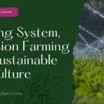 Farming System, Precision Farming And Sustainable Agriculture