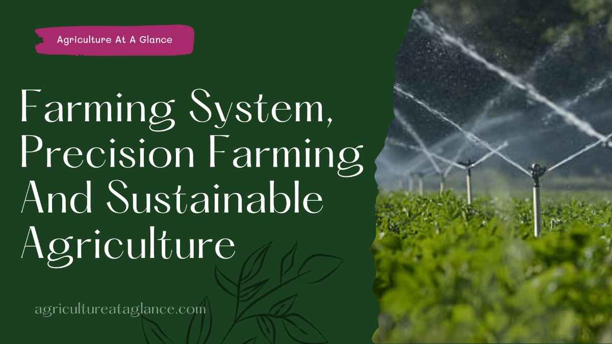 Farming System, Precision Farming And Sustainable Agriculture