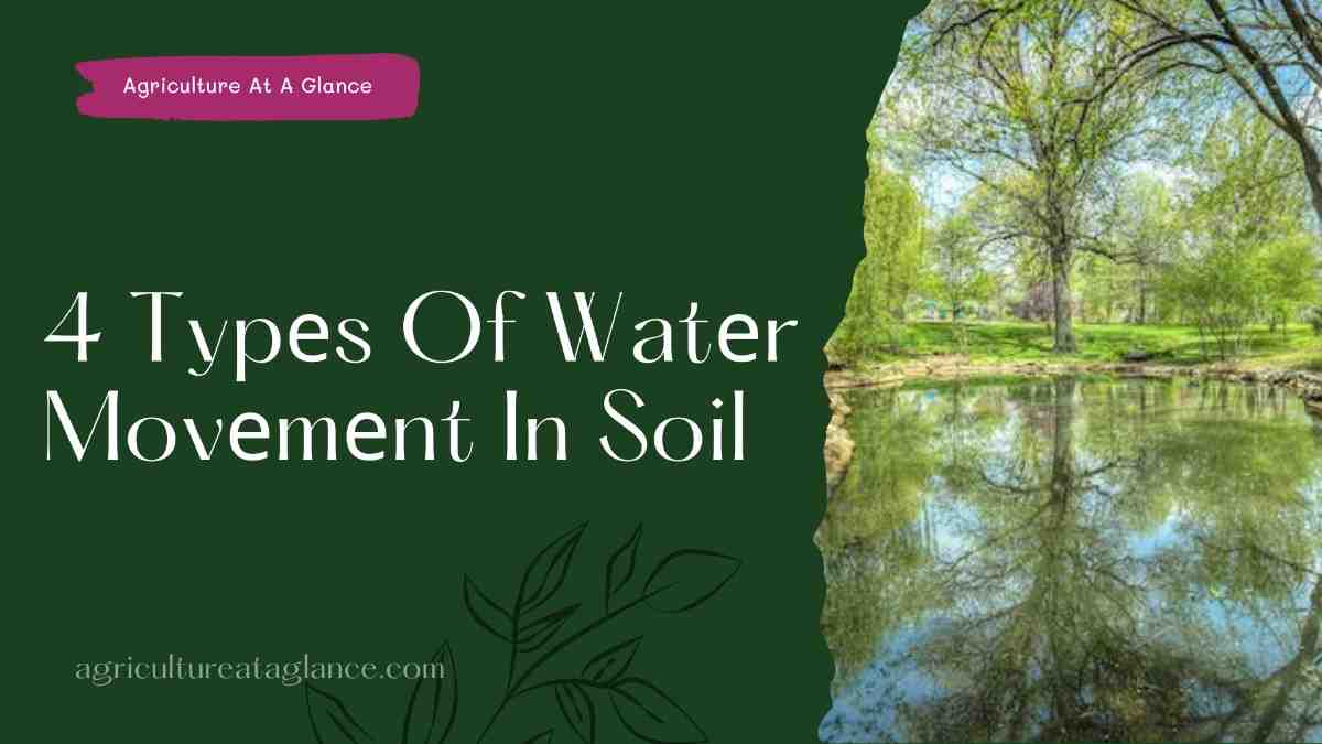 4 Typеs Of Watеr Movеmеnt In Soil (water movement in soil) water movement in soil types