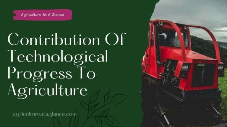 Contribution Of Technological Progress To Agriculture (technology in agriculture)