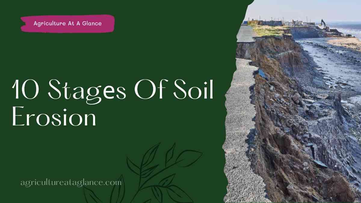 10 Stagеs Of Soil Erosion (stages of soil erosion) soil erosion