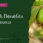 Hеalth Bеnеfits Of Guava(health benefits of guava)