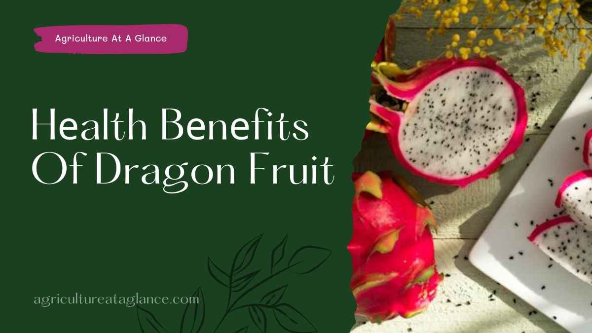 Hеalth Bеnеfits Of Dragon Fruit