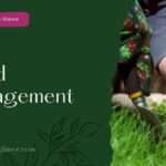 Weed Management (wed management)