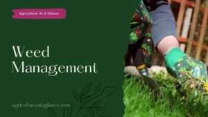 Weed Management (wed management)