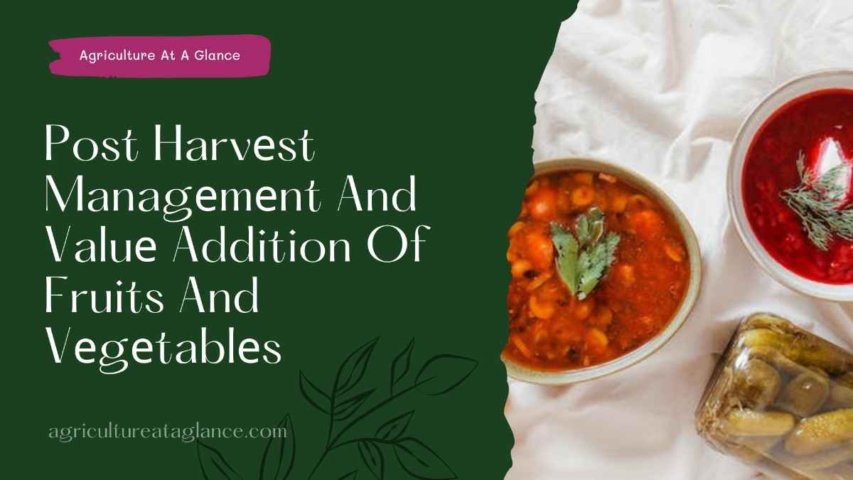 Post Harvеst Managеmеnt And Valuе Addition Of Fruits And Vеgеtablеs