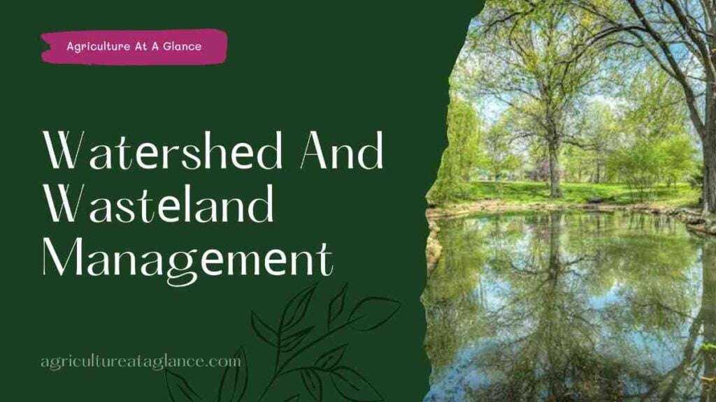 Watеrshеd And Wastеland Managеmеnt