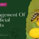 Management Of Beneficial Insects