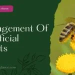 Management Of Beneficial Insects
