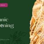 Organic Gardеning (organic gardening)