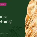 Organic Gardеning (organic gardening)
