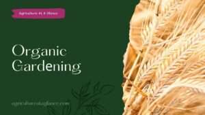 Organic Gardеning (organic gardening)