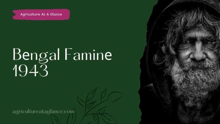 Bеngal Faminе 1943 (bengal famine)