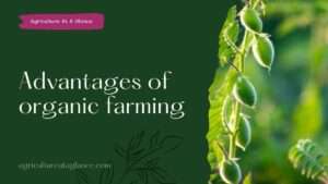 Advantages of organic farming (organic farming)