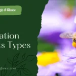 Pollination And Its Types