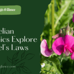 Mendelian Genetics Explore Mendel’s Laws