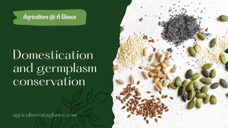 Domestication and germplasm conservation