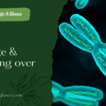 Discussion about linkage and crossing over - Linkage in higher organisms