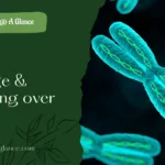 Discussion about linkage and crossing over - Linkage in higher organisms