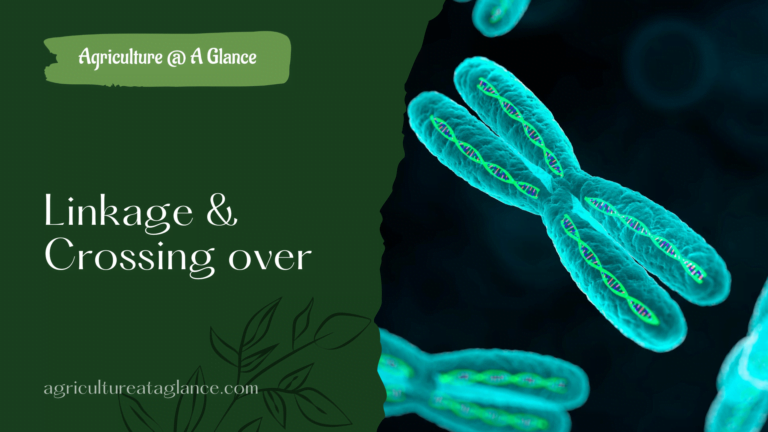 Discussion about linkage and crossing over - Linkage in higher organisms