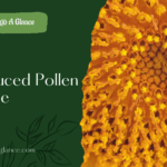 Unreduced Pollen Gamete