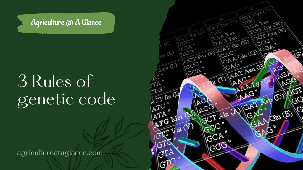 3 Rules of genetic code