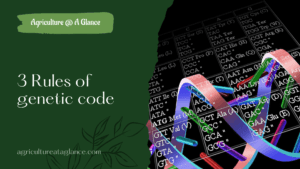 3 Rules of genetic code